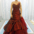 Despite her appreciation of the reworked gown, Aisha chose this