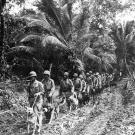 Marine Raiders and a pack of scouting and messenger dogs head off to the frontlines in Bougainville, an island that forms part of the Solomon Islands chain, 1943.