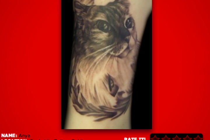 17. I am an animal lover! Especially beautiful, fluffy kittens! This black and grey tattoo is nice and smooth.