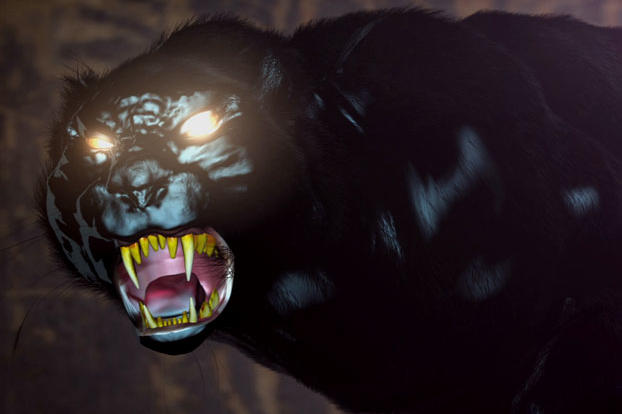 The Wampus Beast is a mountain cat with a 5-foot-long tail. It has wide feet, almost as big as a coffee can, and gives off a wet, skunk smell. It lives throughout the backyards of West Virginians and has eyes so evil, they haunt the soul.