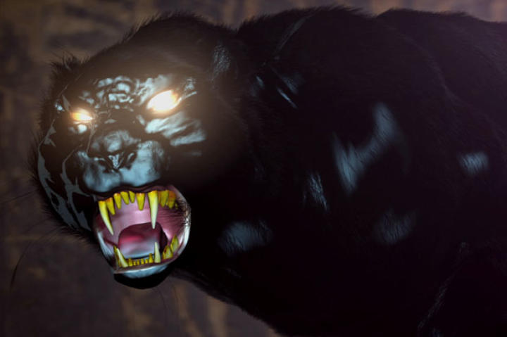 The Wampus Beast is a mountain cat with a 5-foot-long tail. It has wide feet, almost as big as a coffee can, and gives off a wet, skunk smell. It lives throughout the backyards of West Virginians and has eyes so evil, they haunt the soul.