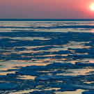 The Bering Sea, where the boats of Deadliest Catch do their work, is not known for toasty warm weather. But still, some years are colder than others. The last two winters have been particularly chilly — and they've been huge years for ice. The last time the ice came this far south was in the early 1970s, when scientists first used satellites to monitor the ice.