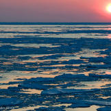 The Bering Sea, where the boats of Deadliest Catch do their work, is not known for toasty warm weather. But still, some years are colder than others. The last two winters have been particularly chilly — and they've been huge years for ice. The last time the ice came this far south was in the early 1970s, when scientists first used satellites to monitor the ice.
