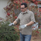 Lou Amoroso looks over the landscaping at a recently purchased property.