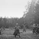 German soldiers surrendering as Red Army soldiers rush to disarm them near Vitovka village on the Bryansk Front, 1941.