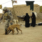 Looking more the part, Jackson, of the 732nd Expeditionary Security Forces Squadron, searches for mines and explosives at a checkpoint area in Afghanistan, 2010.