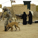 Looking more the part, Jackson, of the 732nd Expeditionary Security Forces Squadron, searches for mines and explosives at a checkpoint area in Afghanistan, 2010.