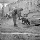 Imagine the sheer terror that partisans must have gone through as German handlers and their dogs sought them out on the Eastern Front.