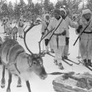 Not a scene from a Christmas story but from the Winter War between The Soviet Union and Finland, 1940.