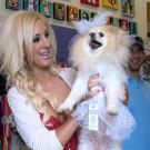 "My dogs have to look super-fabulous on my wedding day," Krystle says. Trixie is the perfect bridal puppy in this furball-sized wedding gown.