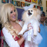 "My dogs have to look super-fabulous on my wedding day," Krystle says. Trixie is the perfect bridal puppy in this furball-sized wedding gown.