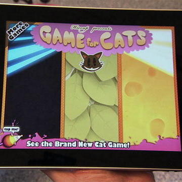 Cat Lover Personals at Must Like Cats