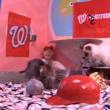 Nationals Themed Live Cam Shows Off