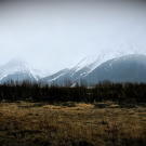 A scenic view near the Wild West Guns shop.