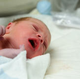 Mellie's Baby Boy, Richard