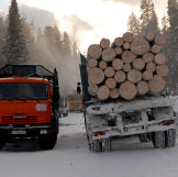 Logging truck on the icy road.