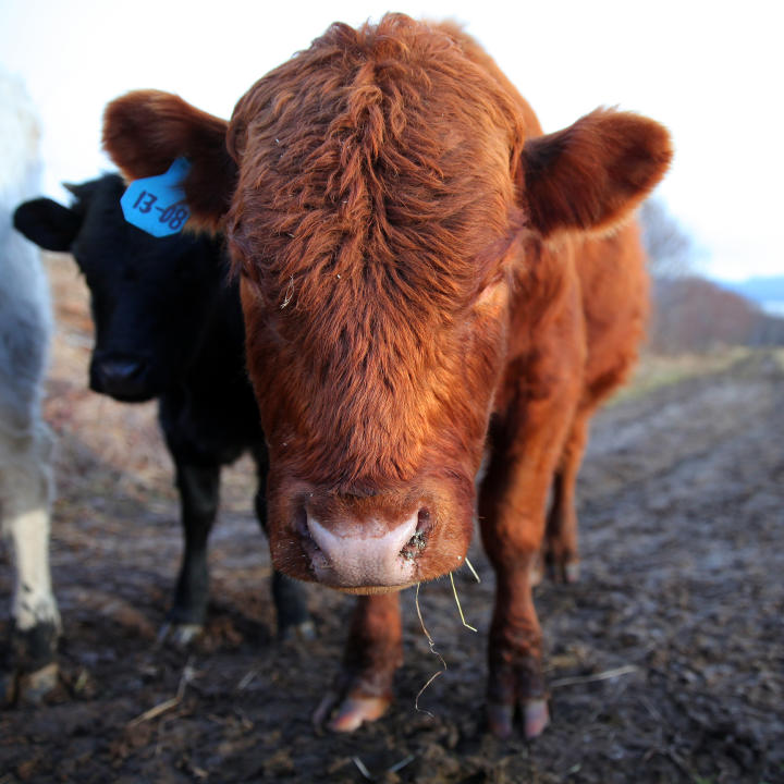 Alaska The Last Frontier Photos Alaska The Last Frontier Discovery