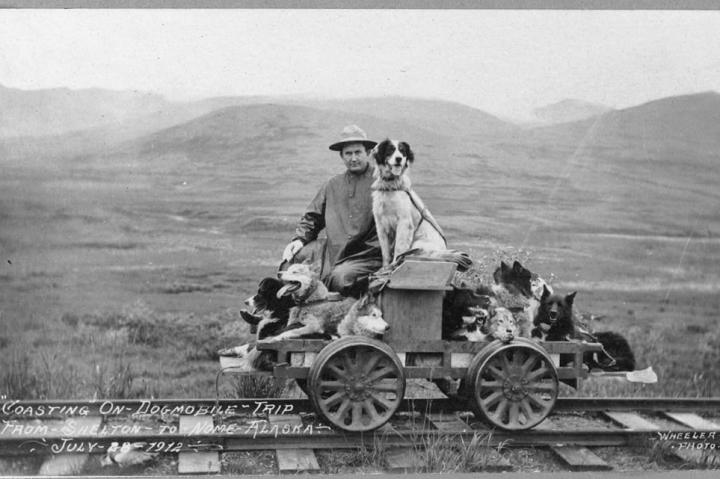 A man and dogs on a rail cart trip from Shelton to Nome, Alaska.