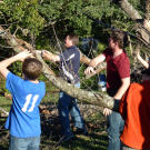 Ben and the Duggar men clearing branches on the Duggar property.