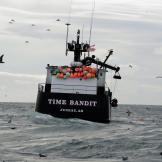 time bandit for sale listing