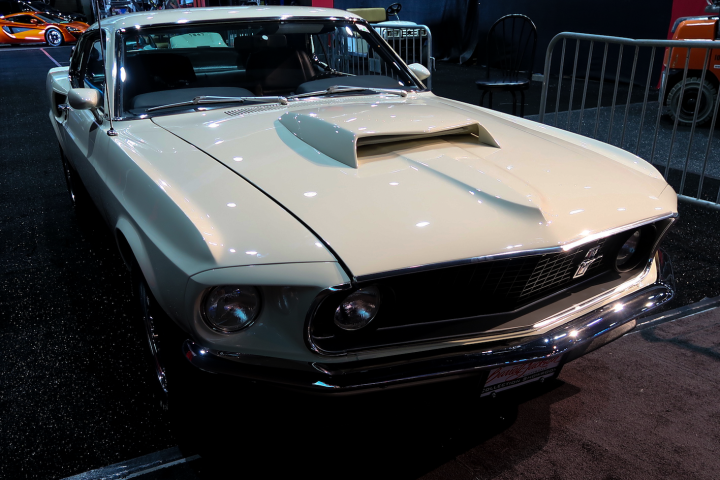 Mustang
