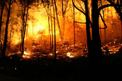 While they're sometimes sparked by humans, wildfires can also be caused by nature in the form of a heat wave, a drought or a lightning strike. Wildfires burn about five million acres in the U.S. every year. Sadly, they often destroy homes and cause the deaths of civilians and firefighters.