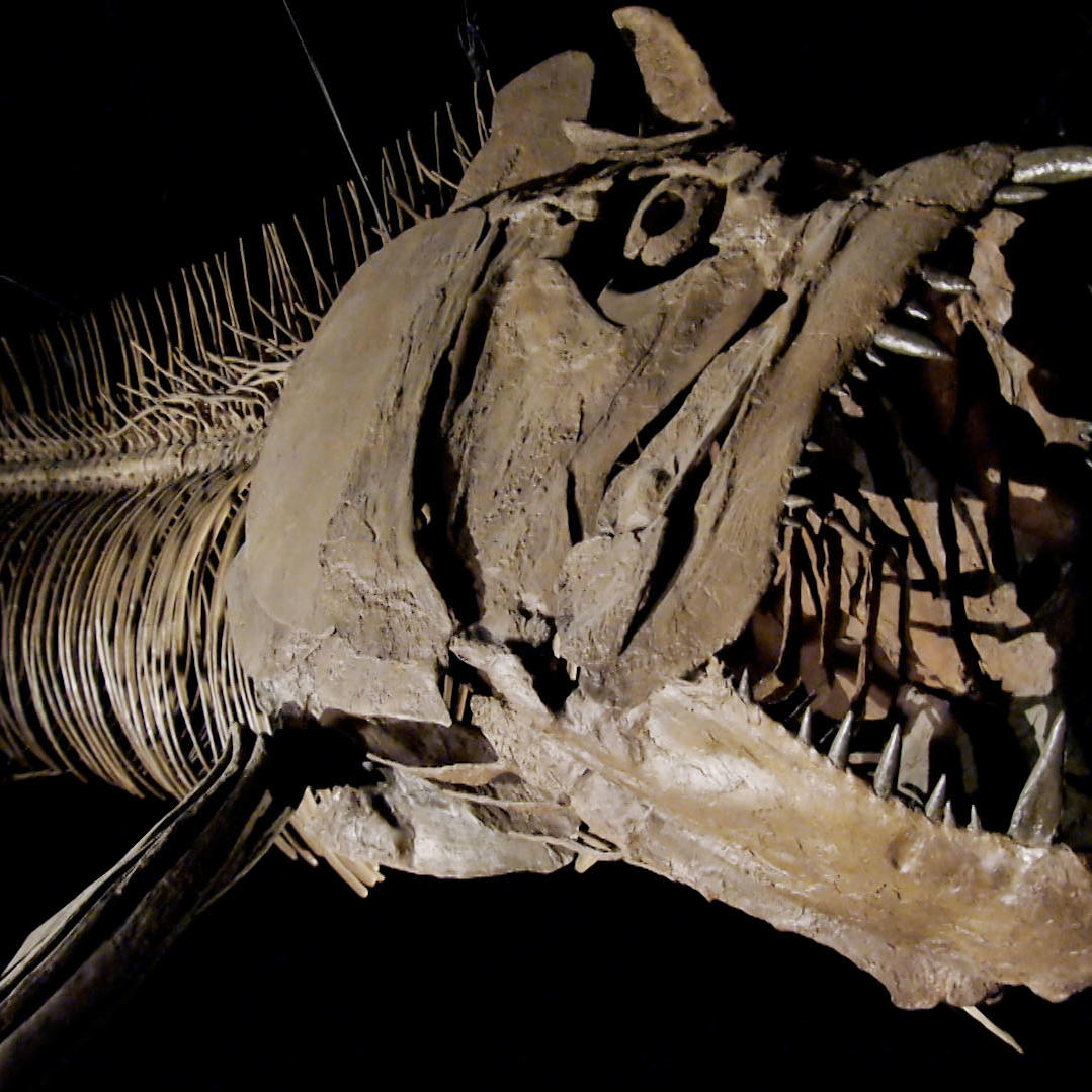 Prehistoric River Monsters More MONSTROUS Than Anything You've Ever Seen