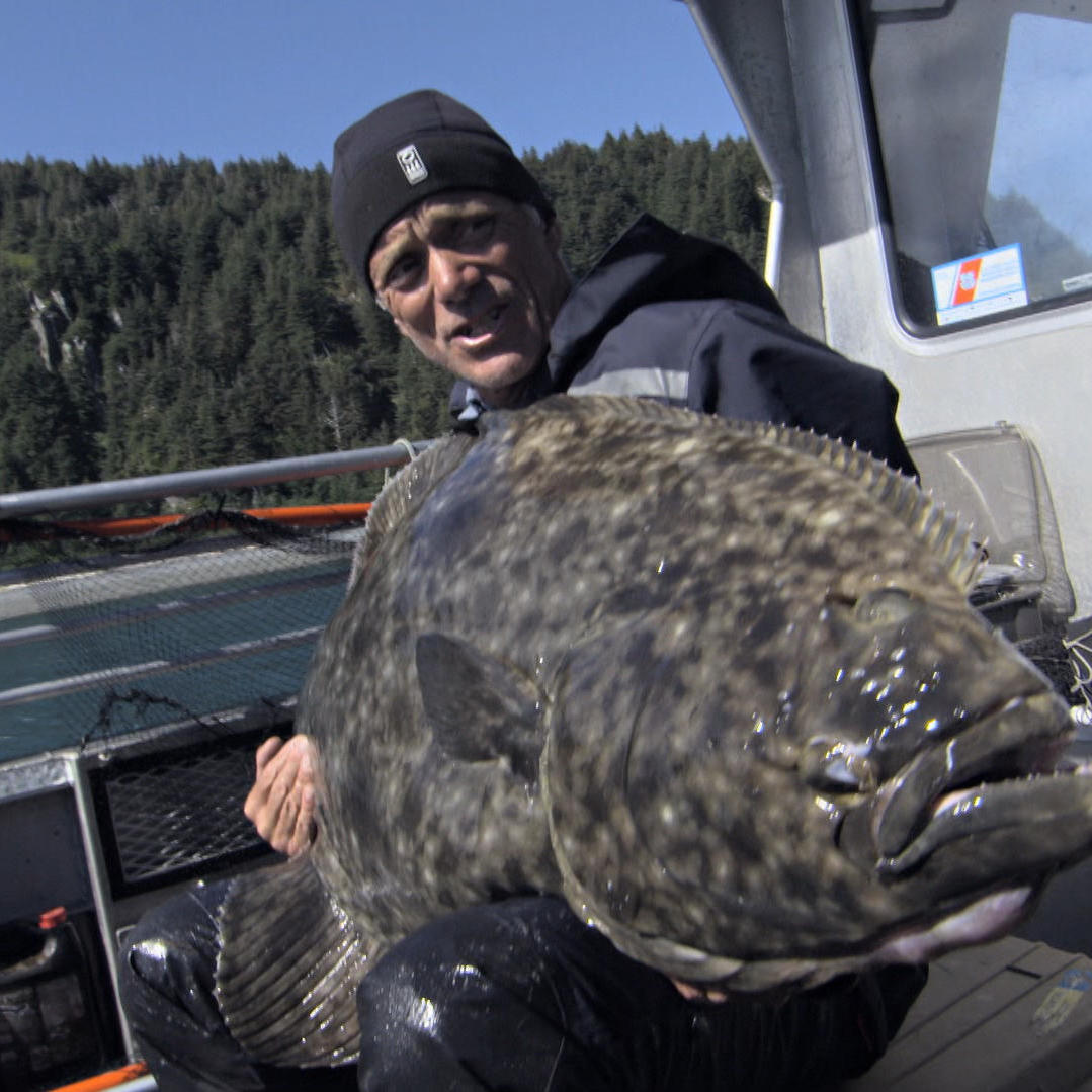 Alaska's Cold Water Killer - How To Catch a Halibut
