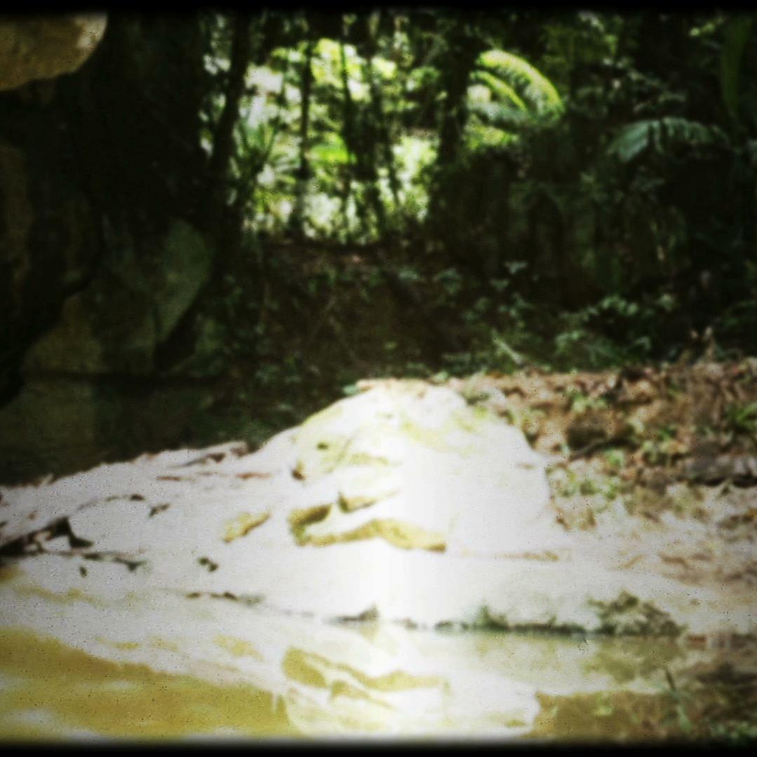 Animal Planet Documentary Cannibal In The Jungle Video Playlist: The Cannibal In the Jungle | Cannibal In The Jungle