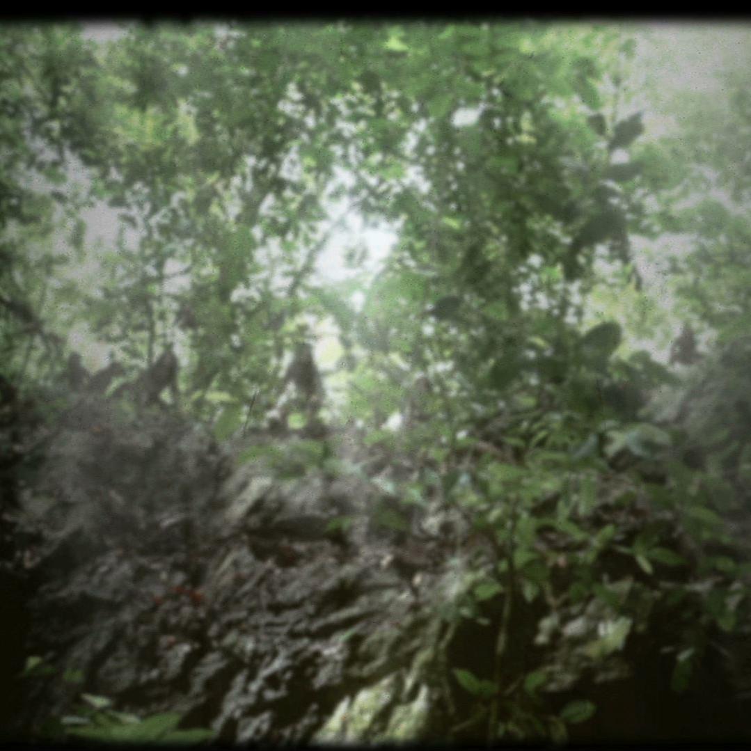 Animal Planet Documentary Cannibal In The Jungle Hobbits Were Real. Are They Still Out There? - Part 3