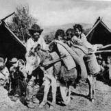 Gypsies in Hungary are shown camping with their donkey.