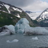 Icebergs protruding from the water.