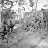 In another staged photograph, Germans surrender to British commandos from 1st Special Service Brigade near Wesel, North Rhine-Westphalia, Germany. March 1945.