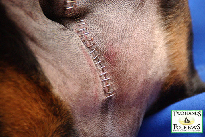 With the help of donations from supporters of
