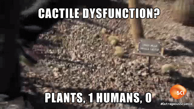 Outrageous Acts of Science