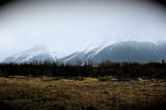 A scenic view near the Wild West Guns shop.