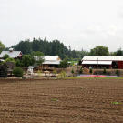 Life on the farm.