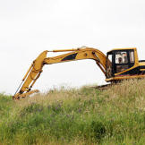 Hard at work on the farm.