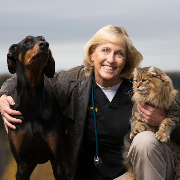 Wild animal shows on tv