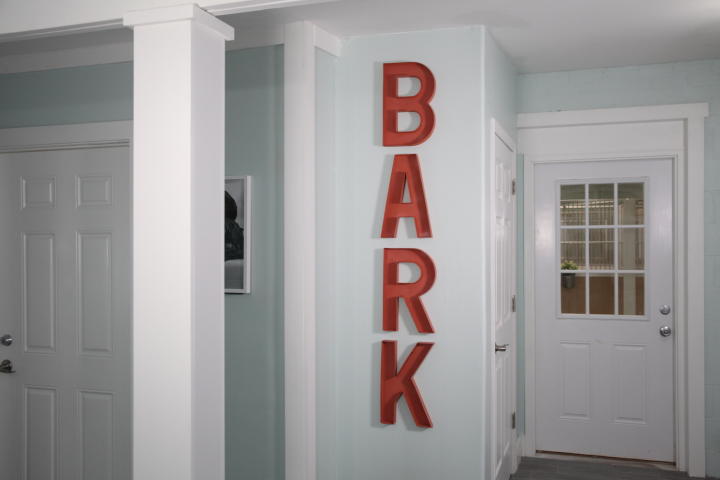 pet nation renovation makeover