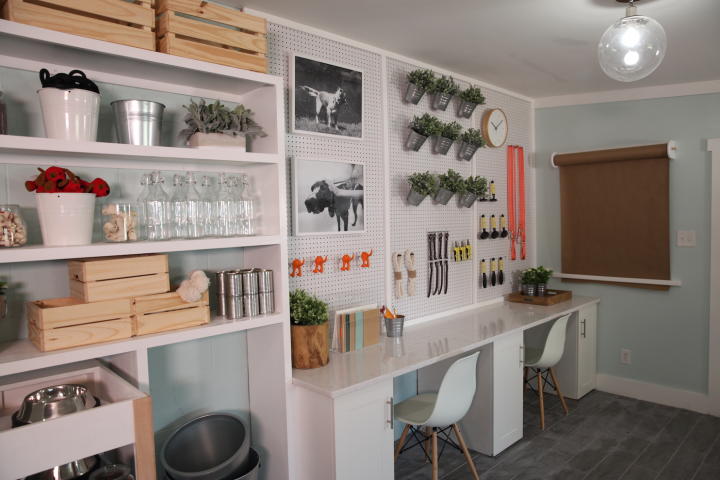 Pet Nation Renovation BARK