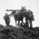 A pack horse being loaded up during the Third Battle of Ypres, 1917. Notice that the horse has a gas mask at the ready on its muzzle.