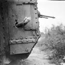 A coupling of the old and the new - a British tank has a port hole from which a carrier pigeon is released, France, August 1918.