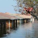 Floods have claimed millions of lives in the last hundred years alone, more than any other weather phenomenon. The aftermath of Hurricane Katrina in New Orleans in 2005 is a recent example of the vast devastation flooding can cause.