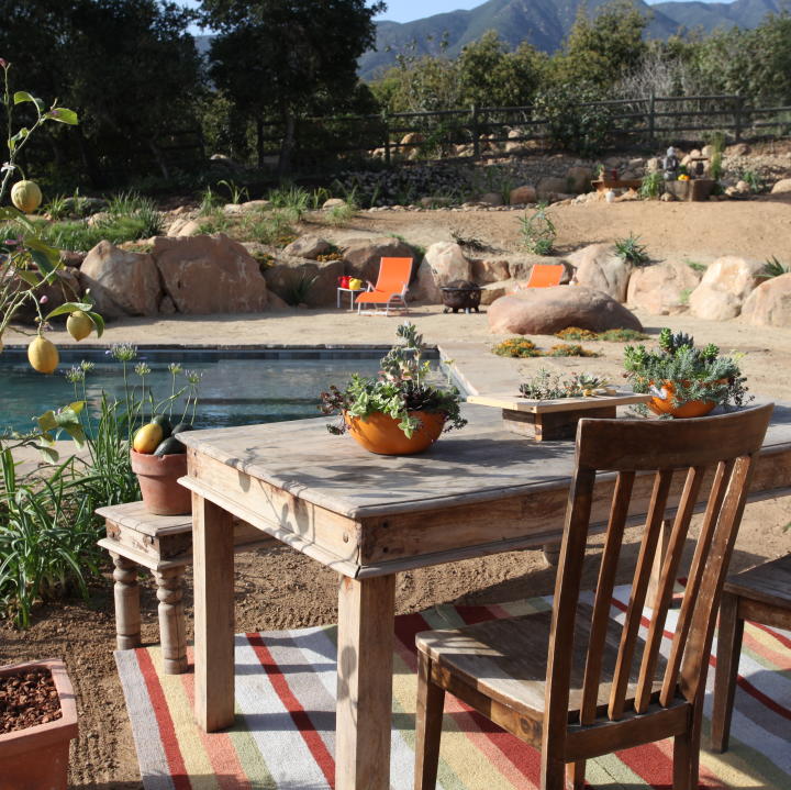 Casting Couch Animal Planet