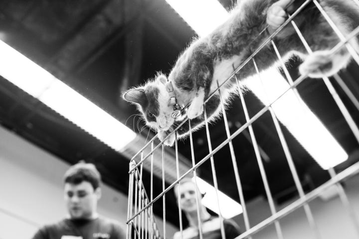 Trying to escape!