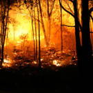 While they're sometimes sparked by humans, wildfires can also be caused by nature in the form of a heat wave, a drought or a lightning strike. Wildfires burn about five million acres in the U.S. every year. Sadly, they often destroy homes and cause the deaths of civilians and firefighters.