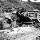 Close support missions flown by Fifth Air Force fighters took out these North Korean tanks, blasting them out of the path of advancing 24th Infantry Division units near Waegwan, Korea.
Watch video of the