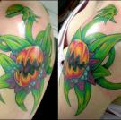From forum user: michelleandrichard