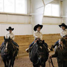Gosselin boys on horseback at dude ranch.